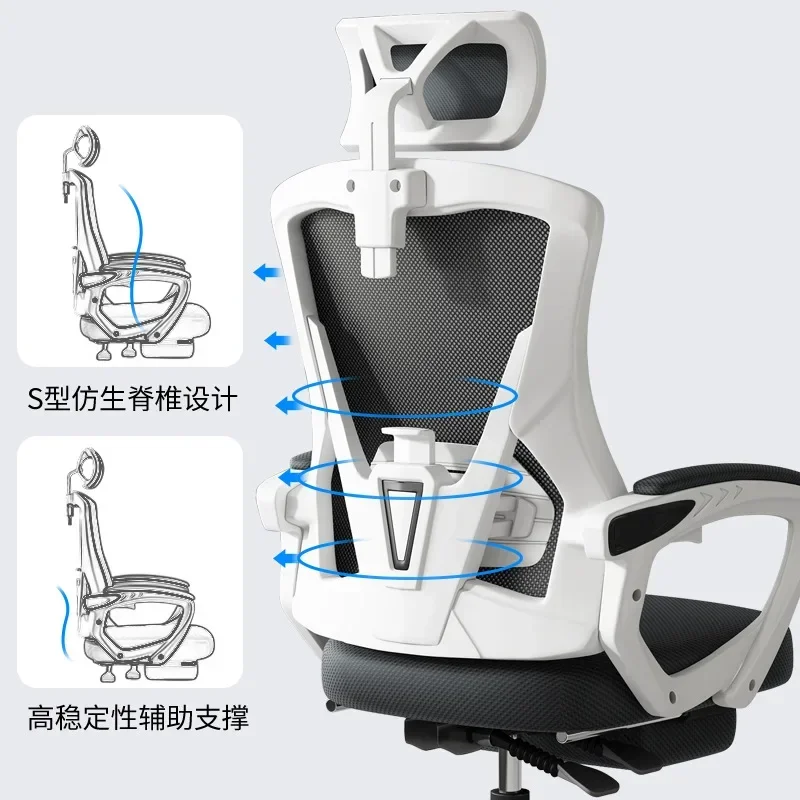 Study Rooms Industrial Use Hea - Office Furniture Useful Life 评论和价格